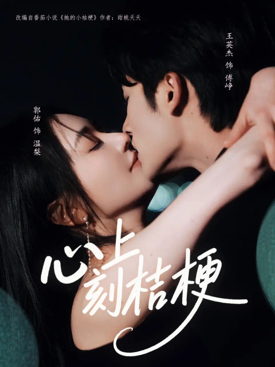 心上刻桔梗90集王英杰&郭佑主演 全集完整版免费在线观看 未删减 百度网盘夸克网盘资源分享下载  第1张