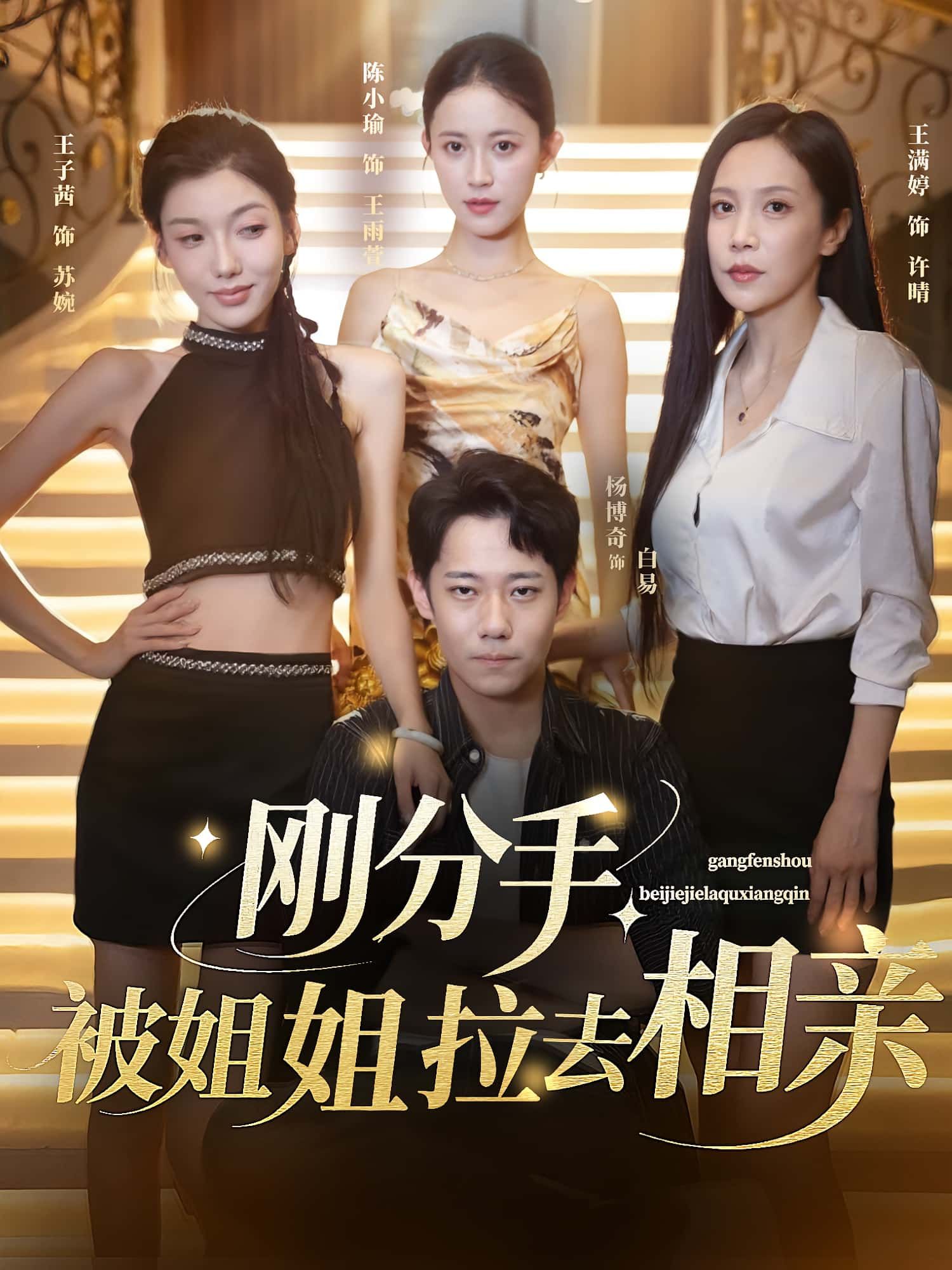 热门短剧刚分手被姐姐拉去相亲（73集）全集完整版未删减，免费在线观看播放，百度网盘夸克网盘资源极速下载分享  第1张