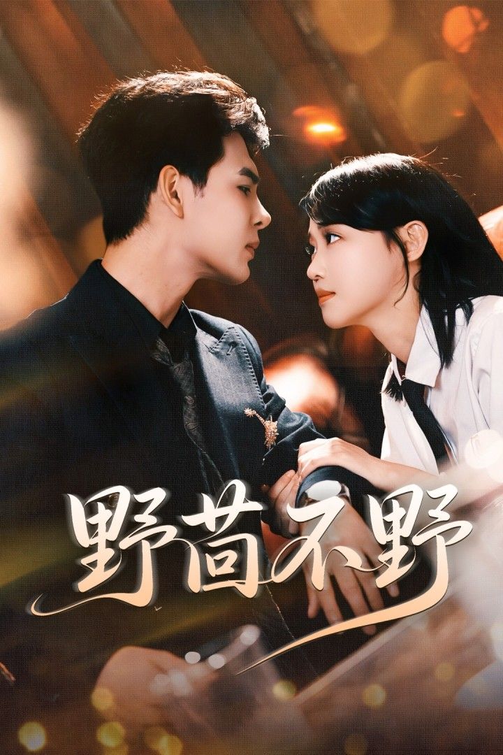 热门短剧野茴不野靳旺龚芳妮主演67集全集未删减超清，免费在线观看，百度夸克网盘资源下载