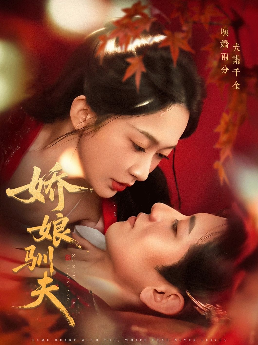 热门短剧娇娘驯夫（82集）王金宝&迟宁宁主演，全集完整版未删减免费无广告在线观看，百度网盘夸克网盘资源分享下载