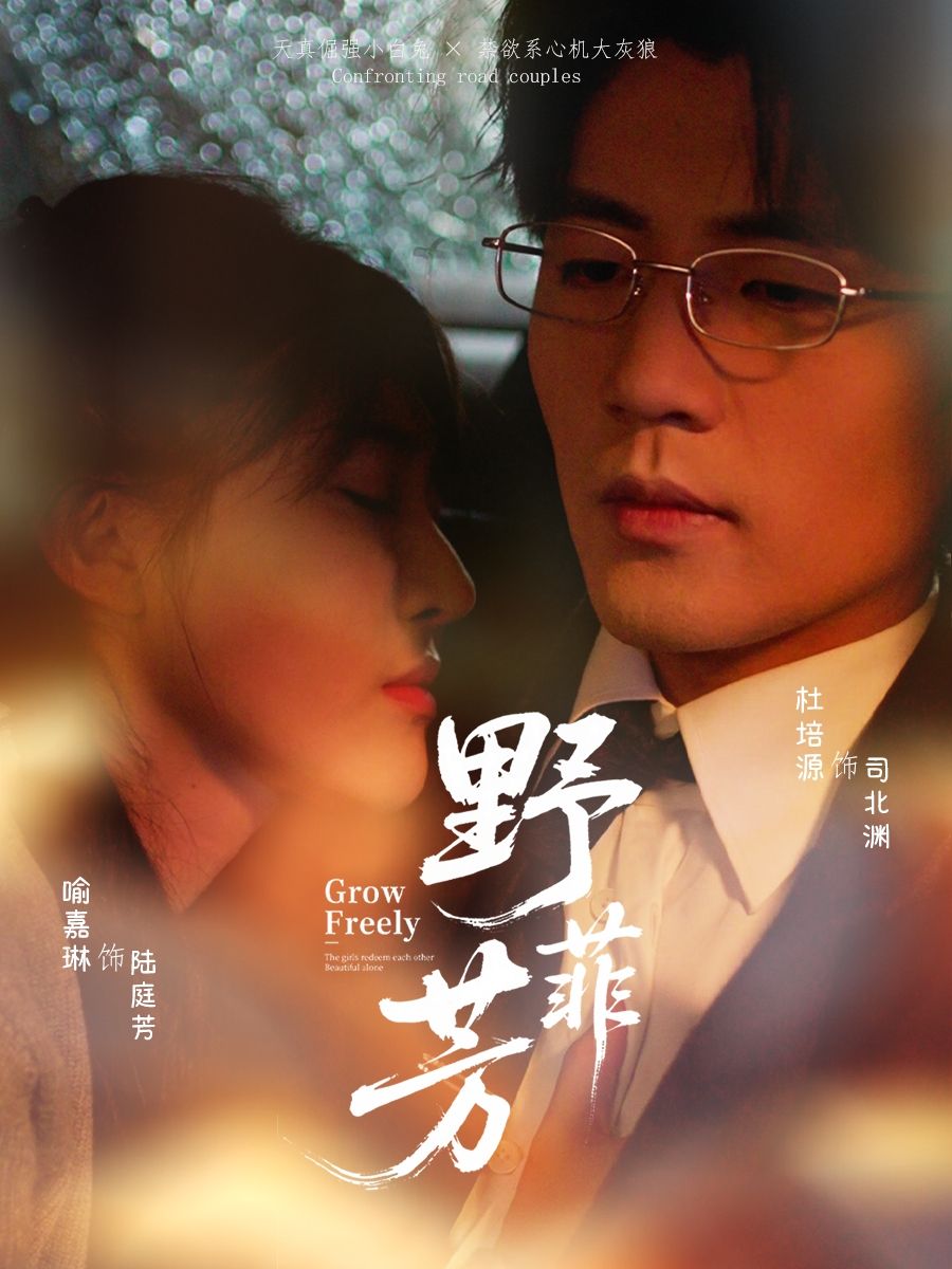 热门短剧野芳菲60集全集未删减版喻嘉琳杜培源免费在线观看，百度网盘夸克网盘资源下载分享