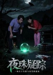热门短剧夜珠疑踪30集韩世祎冀园园主演全集完整版免费无水印在线观看+百度网盘夸克网盘资源下载未删减版  第1张
