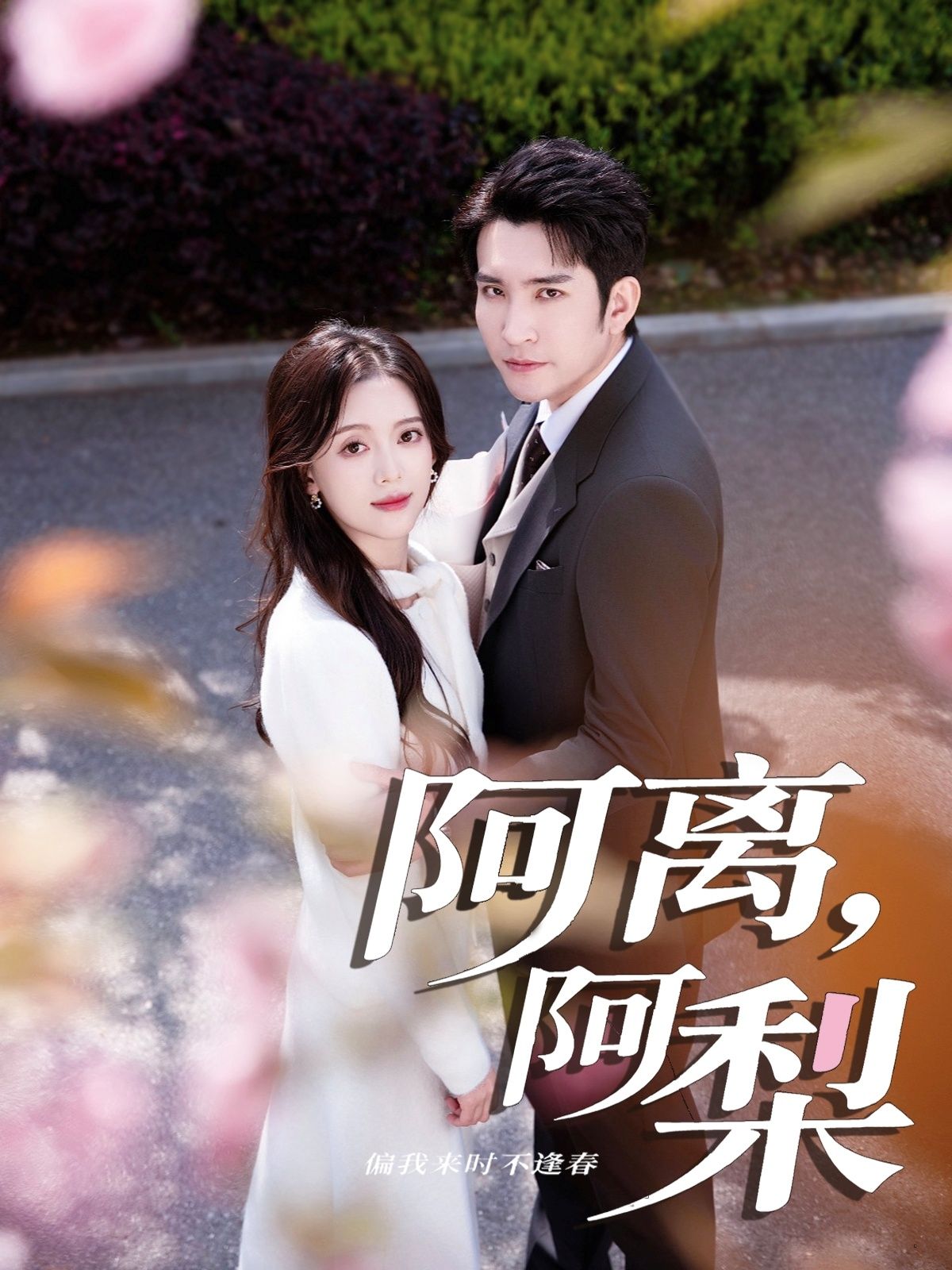 阿离阿梨60集王已歌唐敬主演全集完整版免费在线观看未删减版百度网盘夸克网盘资源下载