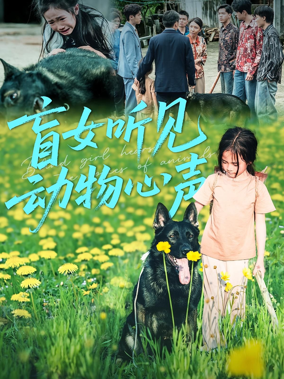 热门短剧盲女听见动物心声61集全集完整版免费在线观看未删减版，百度网盘夸克网盘免费资源下载