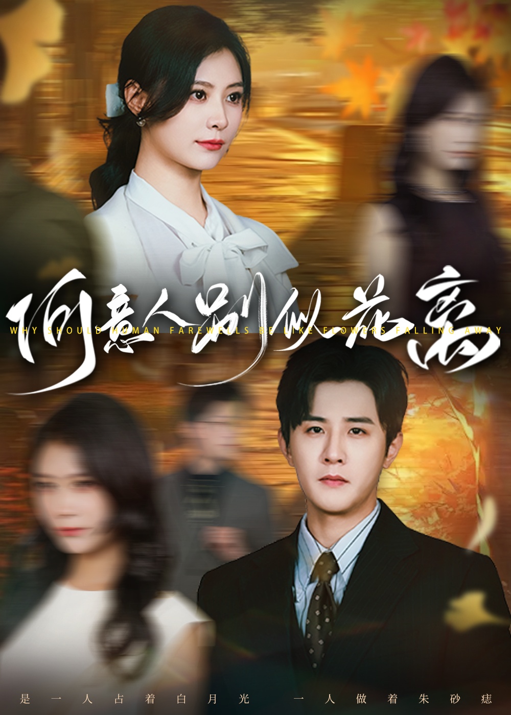 何意人别似花离全集免费在线观看，高清画质完整版，大结局震撼揭晓