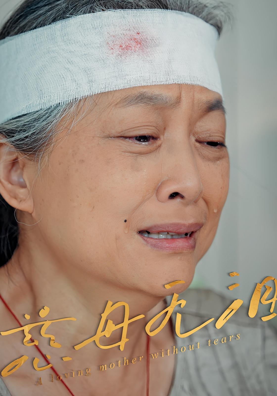 热门短剧慈母无泪30集全集完整版未删减免费在线观看，百度网盘夸克网盘资源分享下载，最新高清播放资源