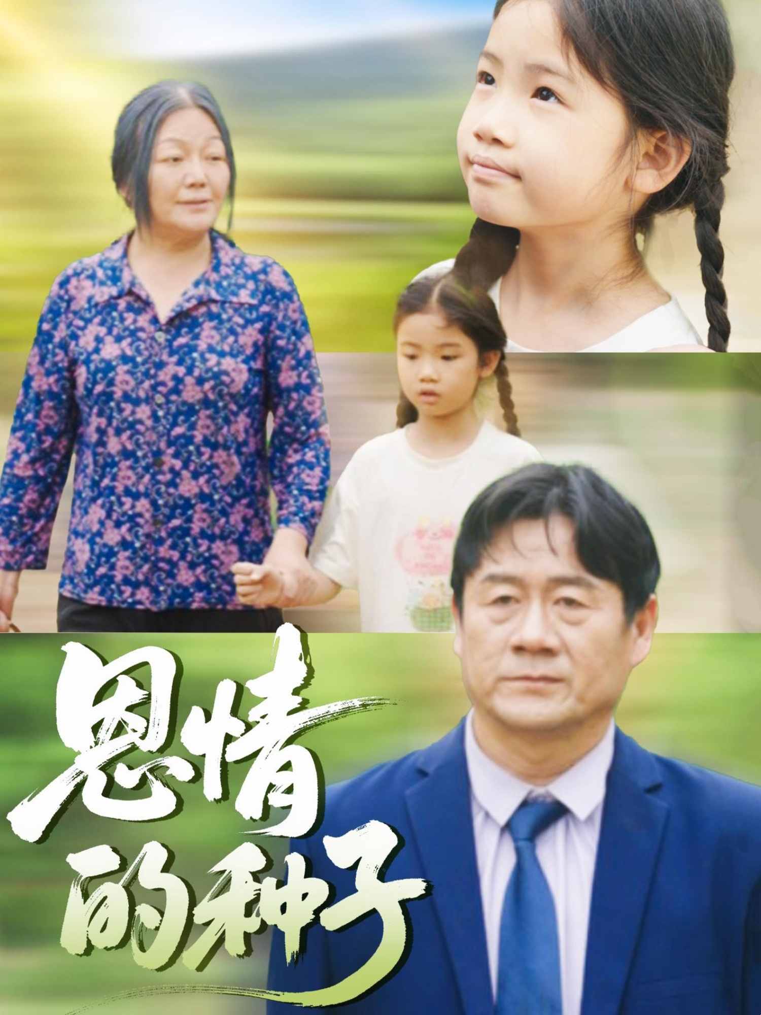 热门短剧恩情的种子29集全集完整版免费在线观看无需注册未删减版 百度网盘夸克网盘资源分享下载