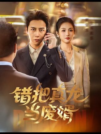 热门短剧《错把真龙当赘婿（62集）》 全集完整版免费在线播放观看未删减版资源，短剧百度网盘夸克网盘免费资源分享下载