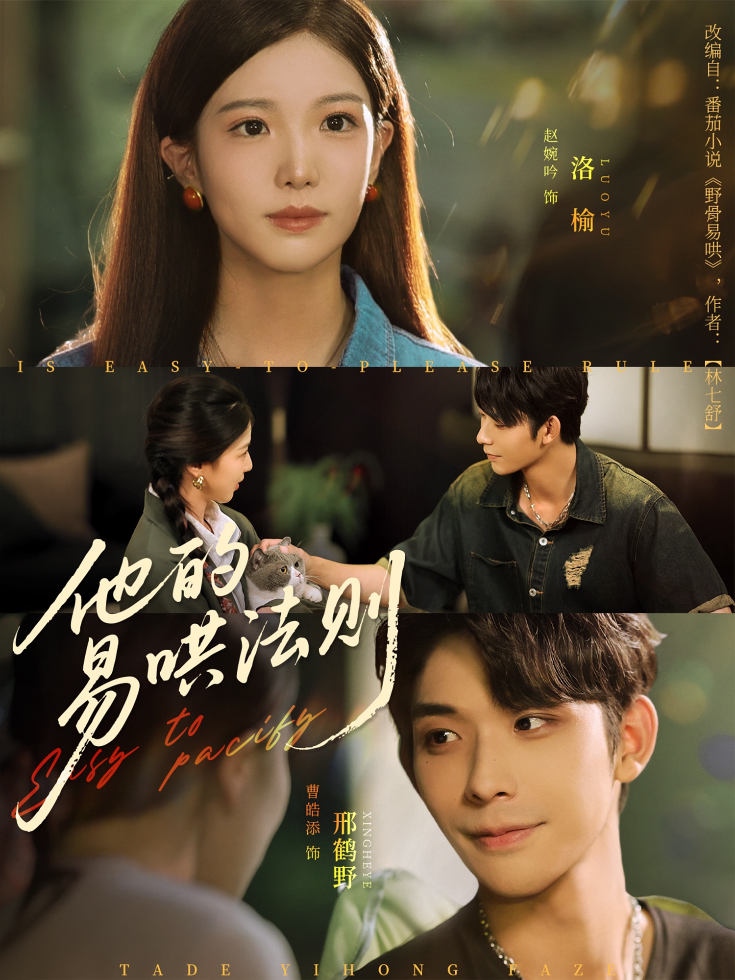 热门短剧他的易哄法则80集 曹皓添赵婉吟主演 全集完整未删减版 免费在线观看 百度网盘夸克网盘资源下载