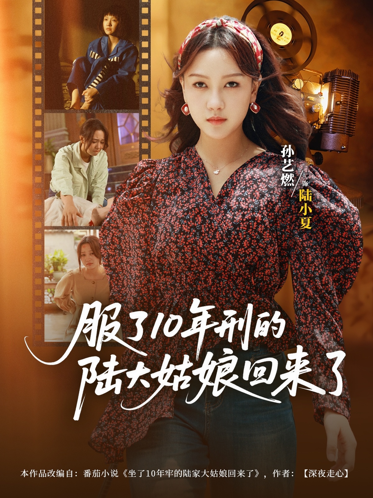 服了10年刑的陆大姑娘回来了全集免费观看 孙艺燃肖琪峰主演 未删减版在线播放 百度网盘夸克资源下载
