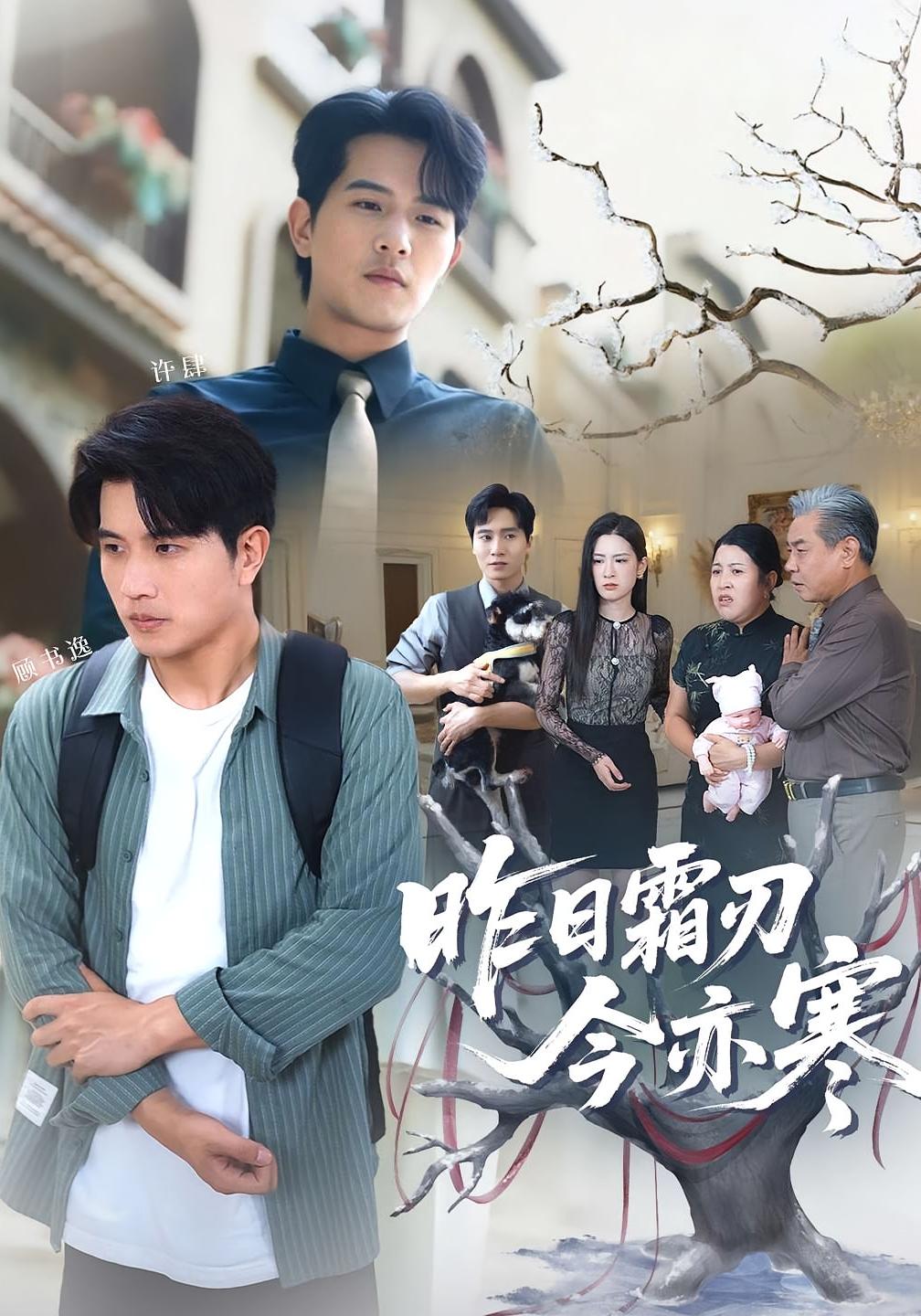 热门短剧昨日霜刃今亦寒80集全集未删减版 梅瑞滢李刘朋主演 免费无广告在线观看 百度网盘/夸克网盘资源下载