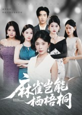 热门短剧麻雀岂能栖梧桐31集全集完整版未删减，纯净免费在线观看，百度网盘夸克网盘免费资源分享下载  第1张