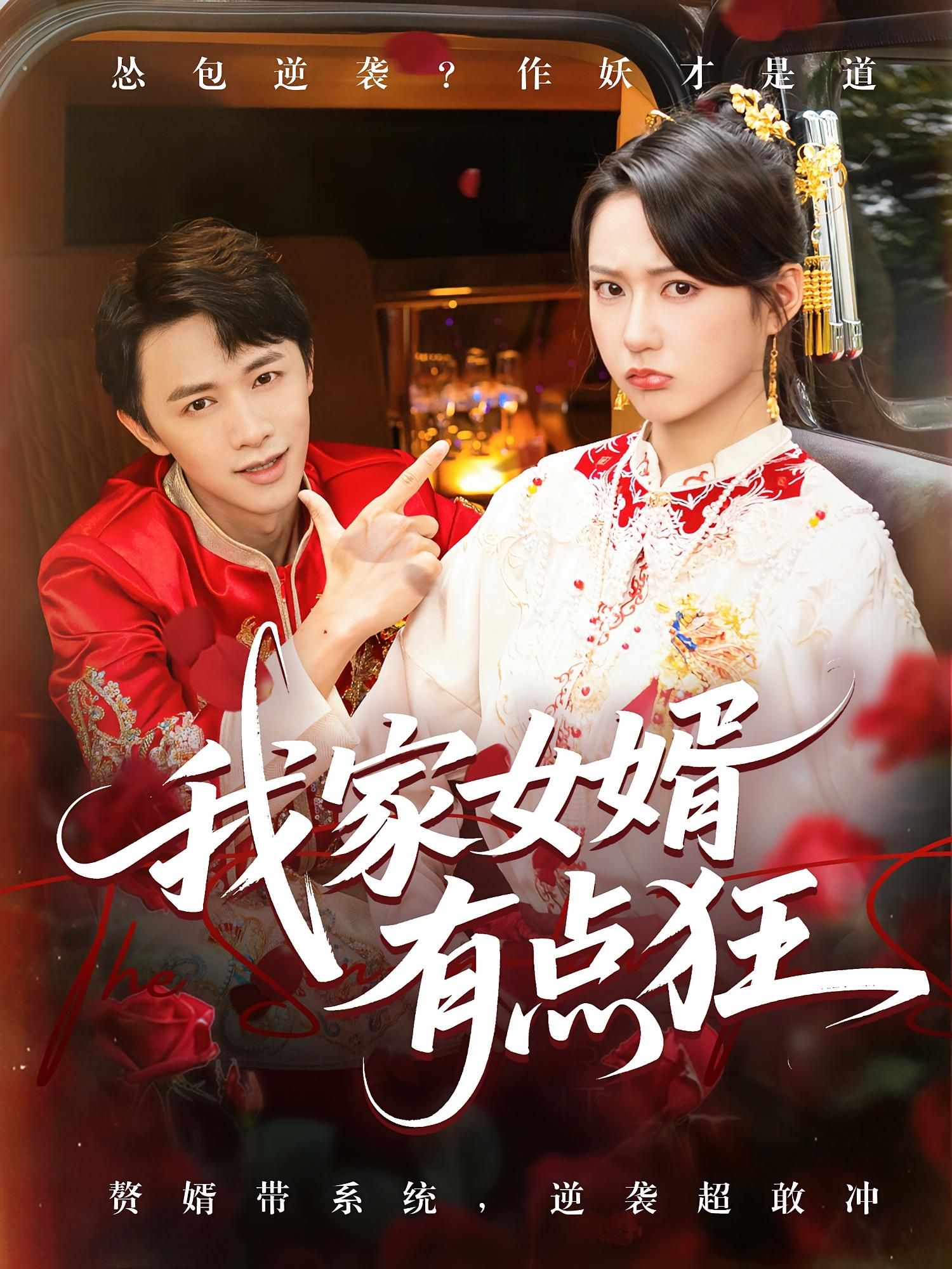 我家女婿有点狂80集全集免费在线观看未删减版 王悦洋&陈外主演 百度网盘夸克网盘资源秒存下载