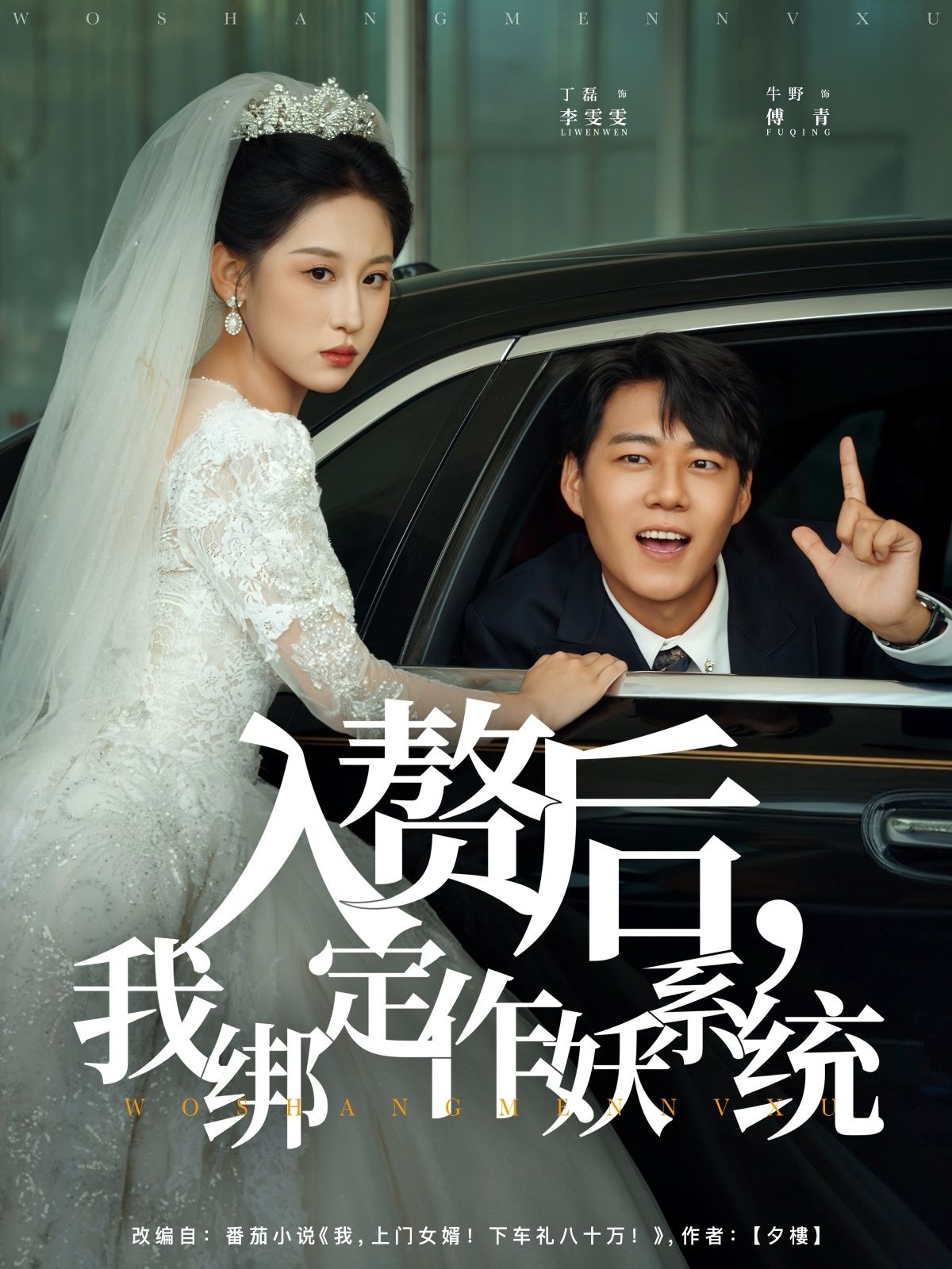热门短剧入赘后我绑定作妖系统（81集）丁磊&牛野主演全集完整版高清免费在线观看未删减版百度网盘夸克网盘资源分享下载