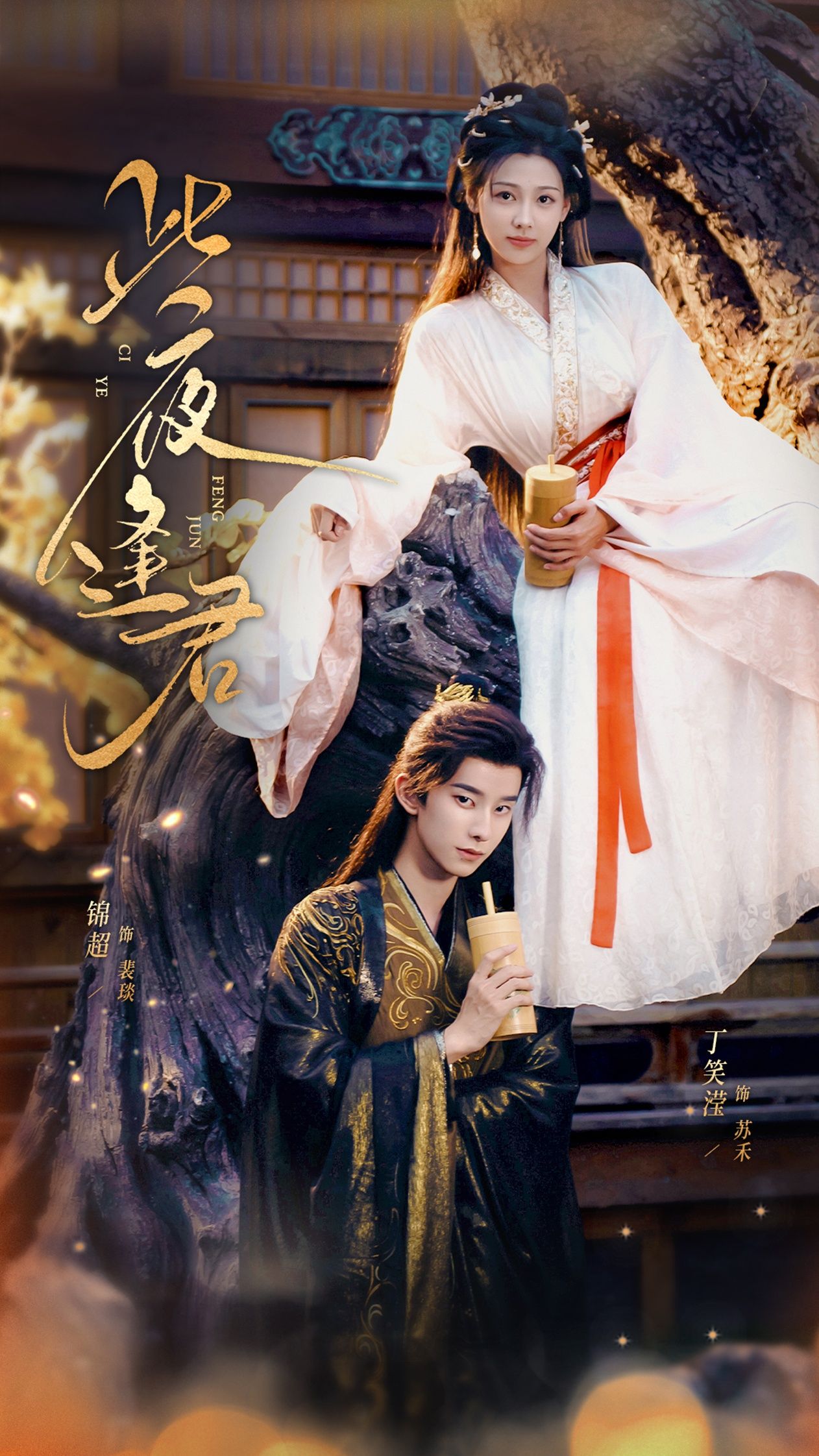 热门短剧此夜逢君76集锦超丁笑滢全集免费无水印未删减版在线观看百度夸克网盘下载