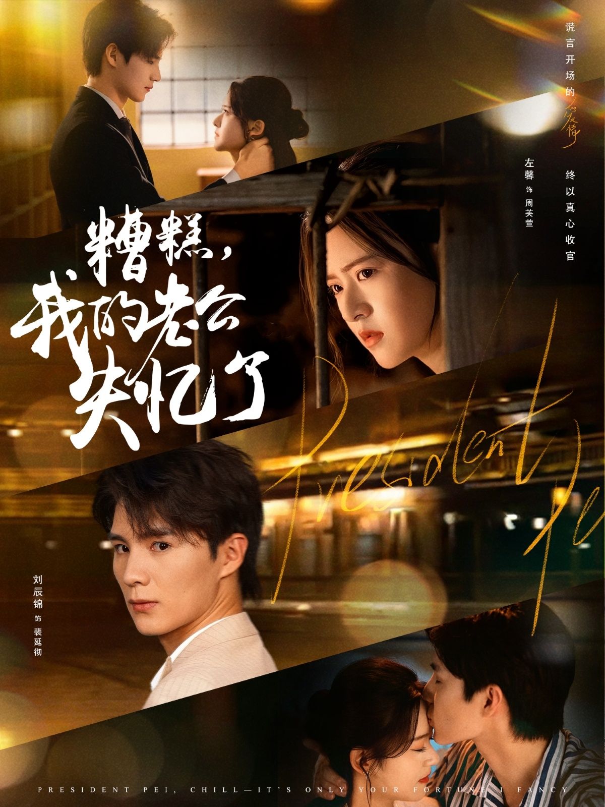 糟糕我的老公失忆了刘辰锦左馨主演80集全集未删减超清版，免费在线观看，百度网盘夸克网盘资源下载