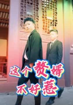 热门短剧这个赘婿不好惹(27集)全集完整版免费在线观看,未删减版稳定播放,百度网盘夸克网盘免费资源分享下载 第1张 热门短剧这个赘婿不好惹(27集)全集完整版免费在线观看,未删减版稳定播放,百度网盘夸克网盘免费资源分享下载 第1张