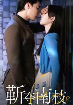 热门短剧靳夺南枝全集完整版未删减免费在线观看,百度网盘夸克网盘资源下载分享 第1张 热门短剧靳夺南枝全集完整版未删减免费在线观看,百度网盘夸克网盘资源下载分享 第1张