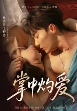 热门短剧掌中灼爱全集完整版超清未删减免费在线观看，百度网盘夸克网盘免费资源分享下载