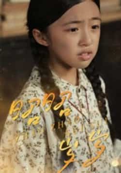 热门短剧昭昭岁岁全集完整版免费在线观看未删减版,百度网盘夸克网盘免费资源分享下载 第1张 热门短剧昭昭岁岁全集完整版免费在线观看未删减版,百度网盘夸克网盘免费资源分享下载 第1张