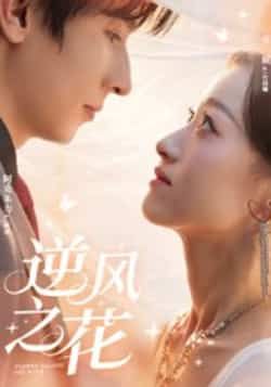 热门短剧逆风之花全集完整版免费稳定在线观看未删减版,百度网盘夸克网盘免费资源分享下载 第1张 热门短剧逆风之花全集完整版免费稳定在线观看未删减版,百度网盘夸克网盘免费资源分享下载 第1张
