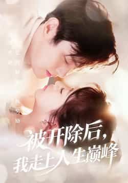 热门短剧被开除后，我走上人生巅峰全集完整版免费观看在线播放未删减版，百度网盘夸克网盘免费资源分享下载