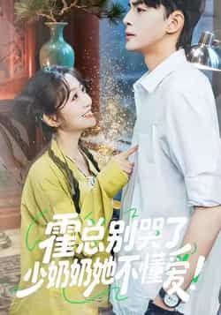 霍总别哭了少奶奶她不懂爱全集完整版免费未删减，稳定在线观看播放，百度网盘夸克网盘免费资源下载分享  第1张