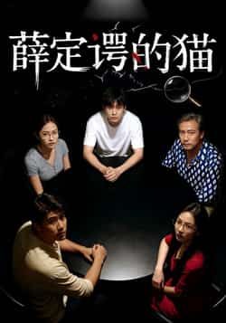 热门短剧薛定谔的猫全集完整版免费稳定在线观看未删减版，百度网盘夸克网盘免费资源分享下载