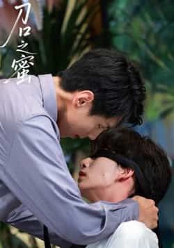 热门短剧刀口之蜜全集完整版免费在线观看未删减版，百度网盘夸克网盘资源分享下载