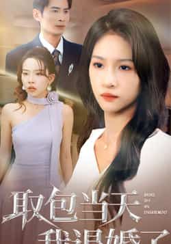 热门短剧取包当天我退婚了全集完整版免费在线观看，未删减版资源稳定播放，百度网盘夸克网盘免费分享下载  第1张