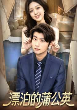 热门短剧漂泊的蒲公英全集完整版免费在线观看未删减版，百度网盘夸克网盘免费资源下载分享  第1张