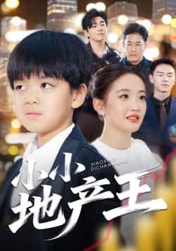 热门短剧小小地产王全集完整版免费在线观看 未删减版资源 百度网盘夸克网盘免费分享下载