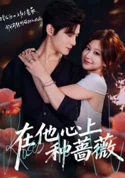 热门短剧在他心上种蔷薇最新全集完整版未删减免费在线观看，百度网盘夸克网盘免费资源分享下载