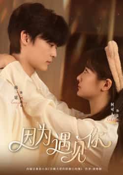 热门短剧因为遇见你全集完整版更新完毕 免费在线观看未删减版 百度网盘夸克网盘资源分享下载