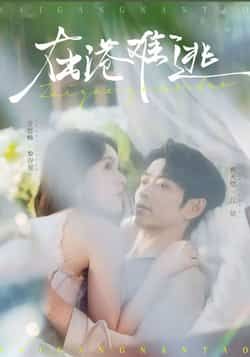 热门短剧在港难逃全集完整版免费无广告在线观看未删减版，百度网盘夸克网盘免费资源分享下载